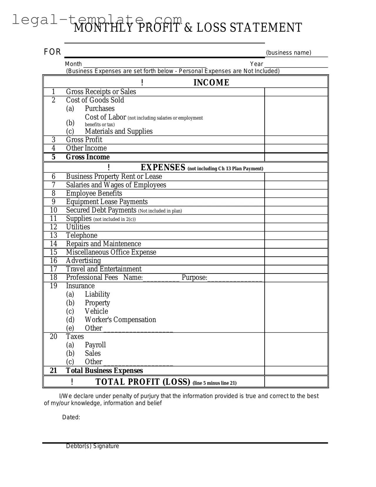 Free Profit And Loss Template in PDF