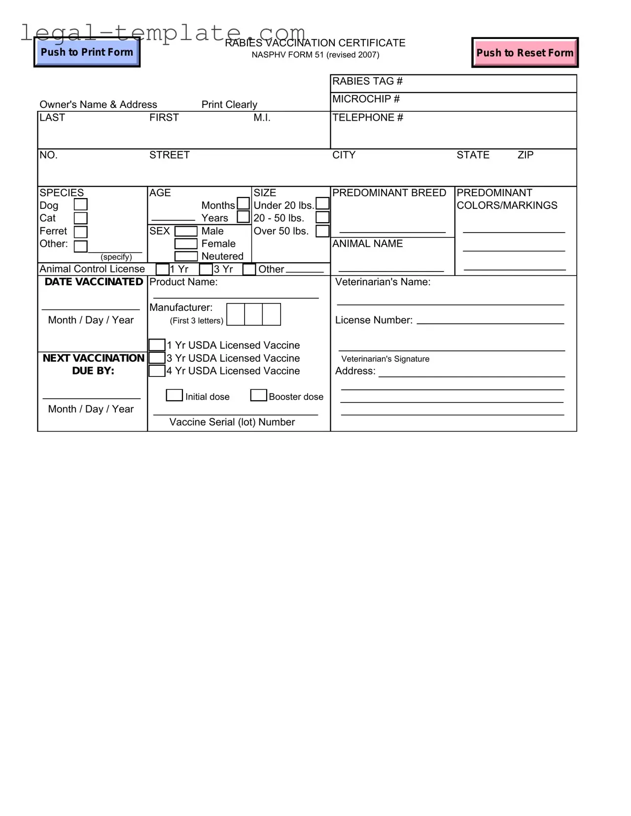 Free Rabies Certificate Template in PDF