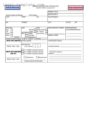 Free Rabies Certificate Template in PDF