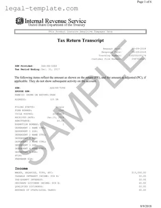 Free Sample Tax Return Transcript Template in PDF