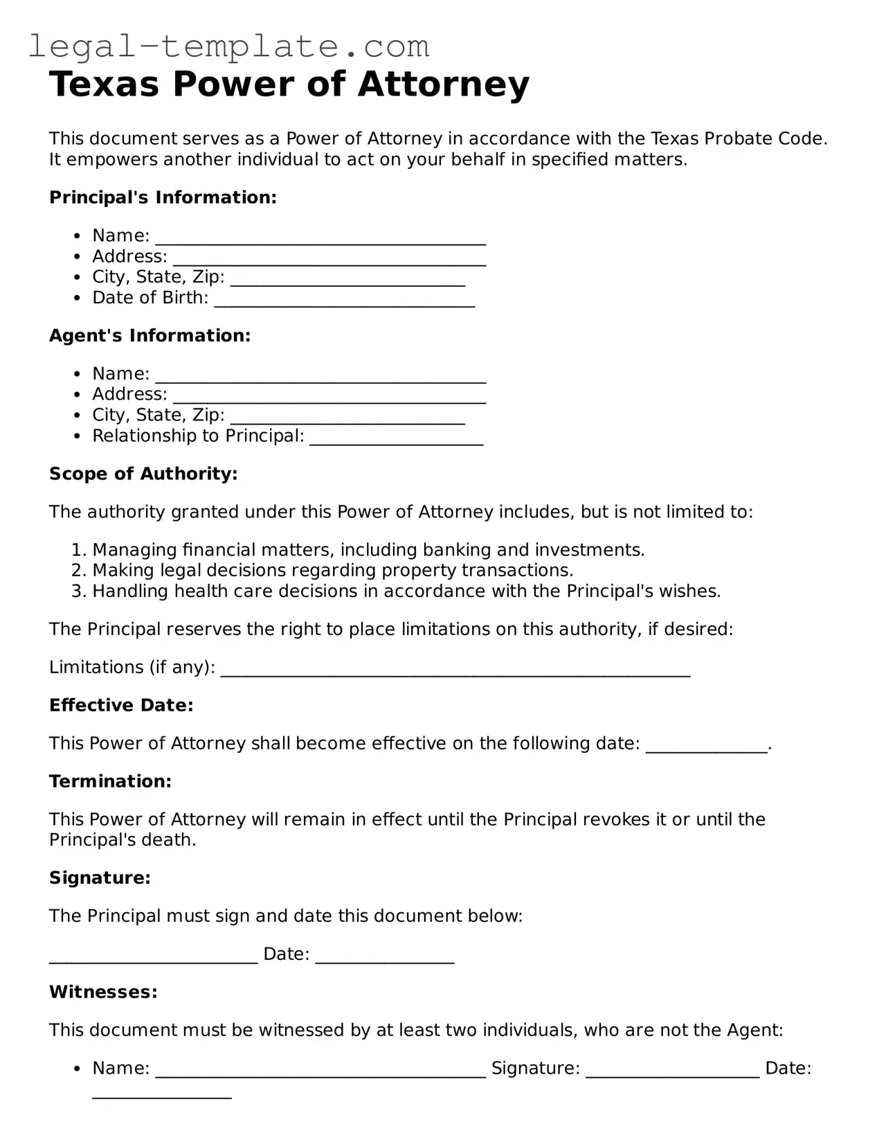 Power of Attorney Form for Texas State